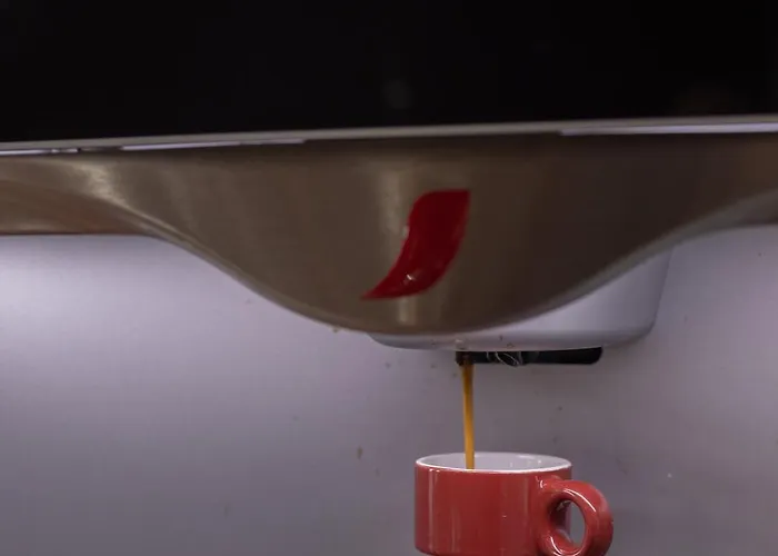 Flag Madeira - Hotel